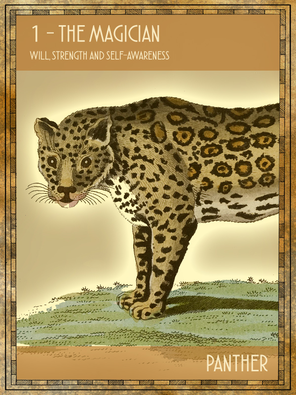 Animal Tarot Panther
