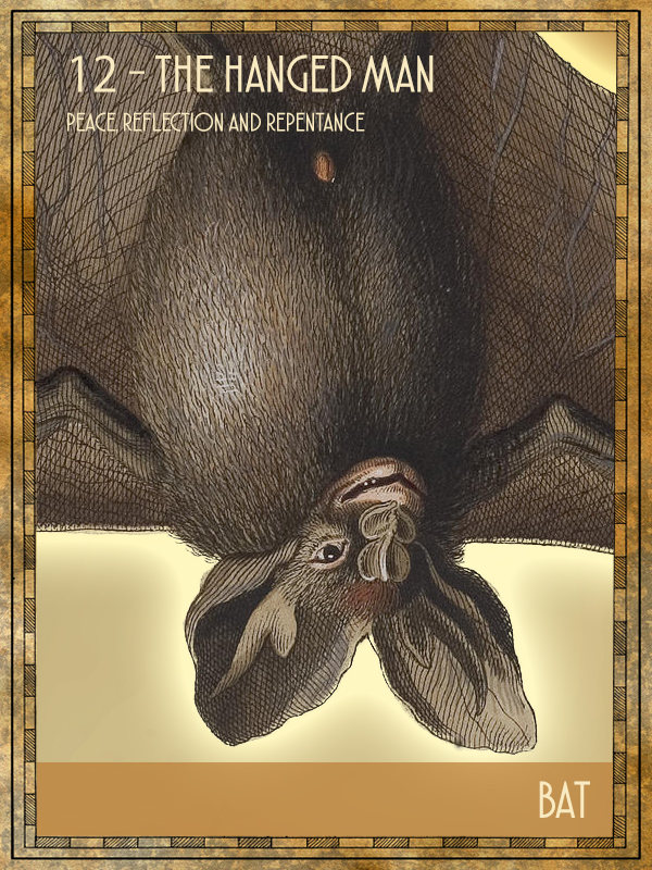 Animal Tarot Bat