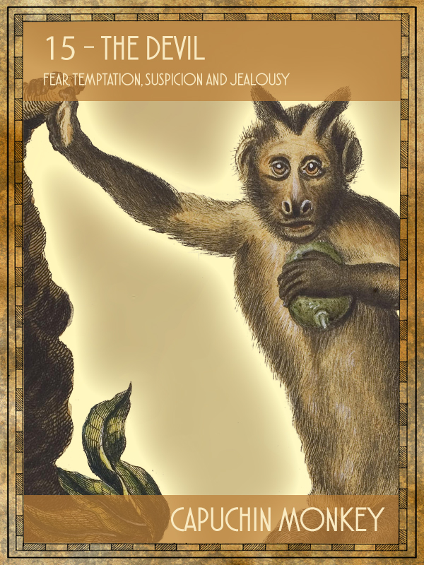 Animal Tarot Capuchin monkey