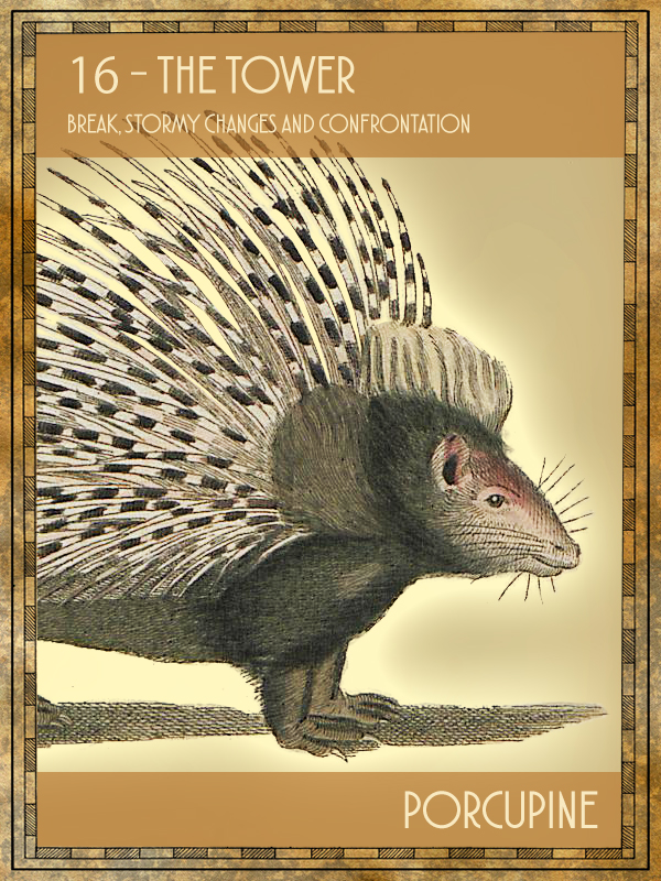 Animal Tarot Porcupine