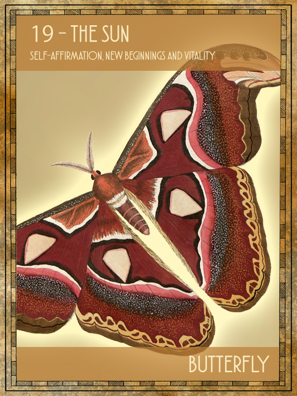 Animal Tarot Butterfly