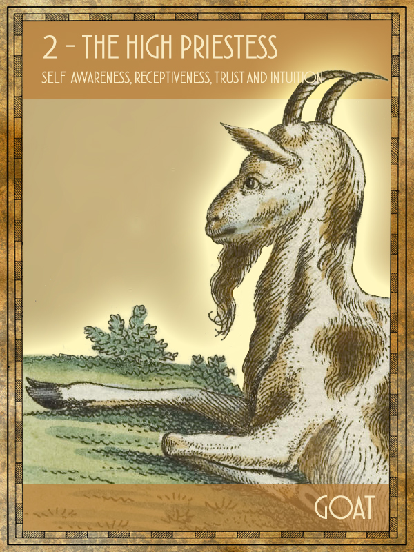 Animal Tarot Goat