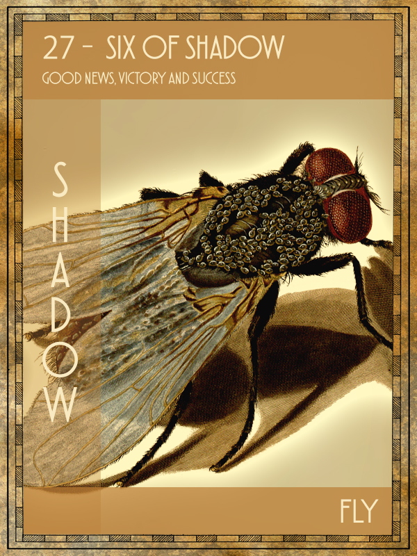 Animal Tarot Fly