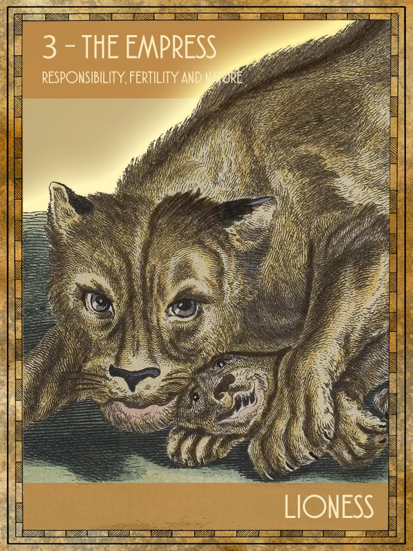 Animal Tarot Lioness