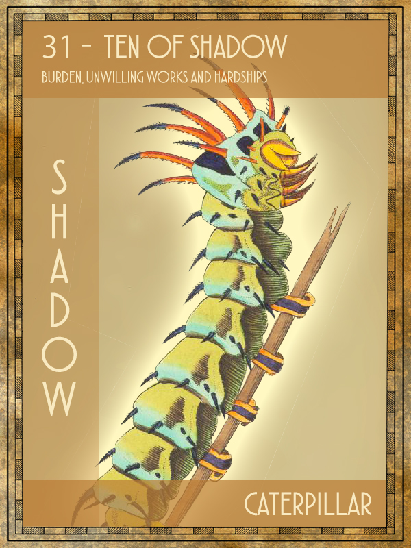 Animal Tarot Caterpillar