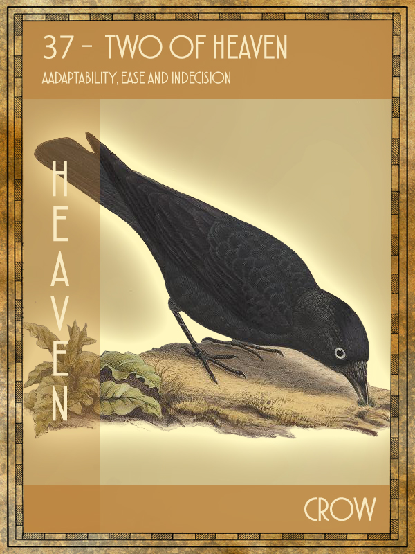 Animal Tarot Crow