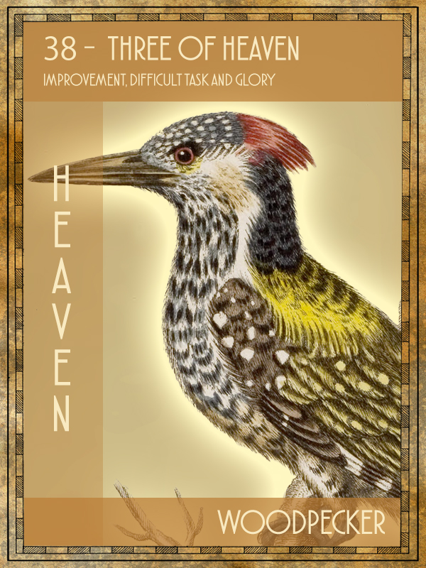 Animal Tarot Woodpecker