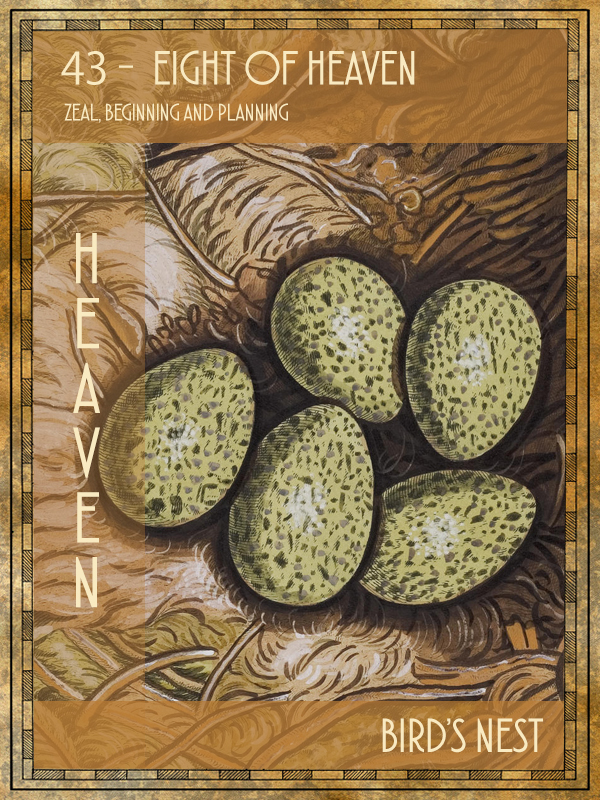 Animal Tarot Bird's nest