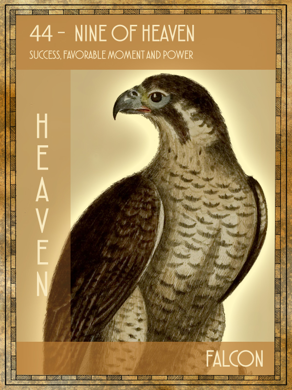 Animal Tarot Falcon