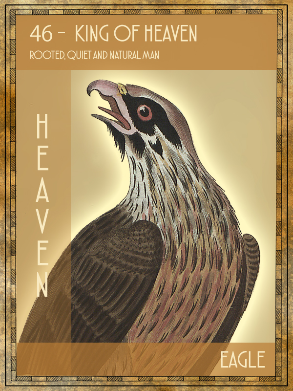 Animal Tarot Eagle