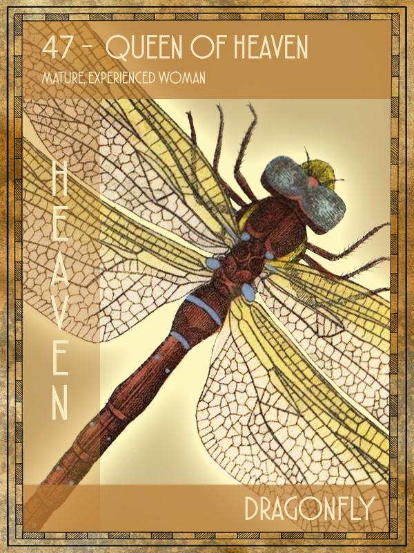 Animal Tarot Dragonfly