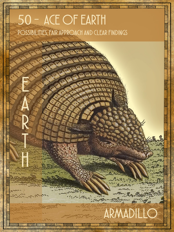 Animal Tarot Armadillo