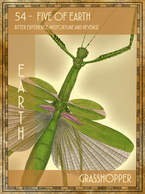 Animal Tarot Grasshopper