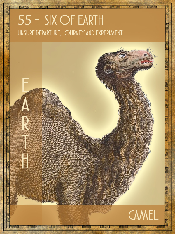 Animal Tarot camel