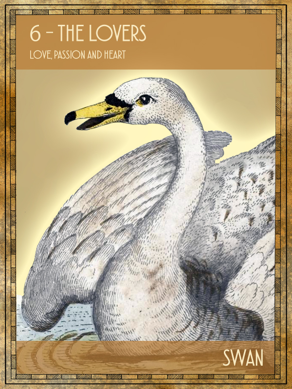 Animal Tarot Swan