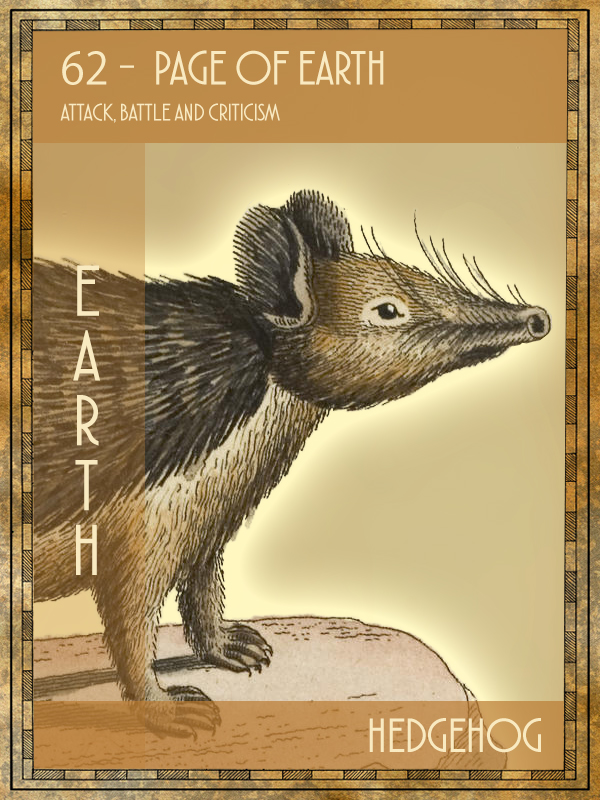 Animal Tarot Hedgehog