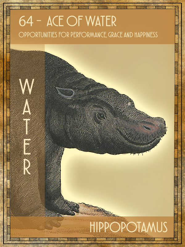 Animal Tarot Hippopotamus
