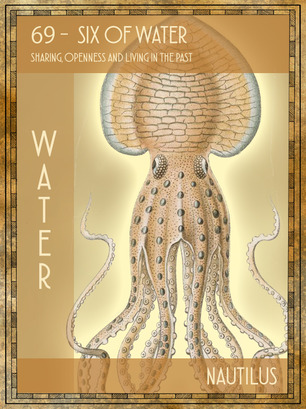 Animal Tarot Nautilus