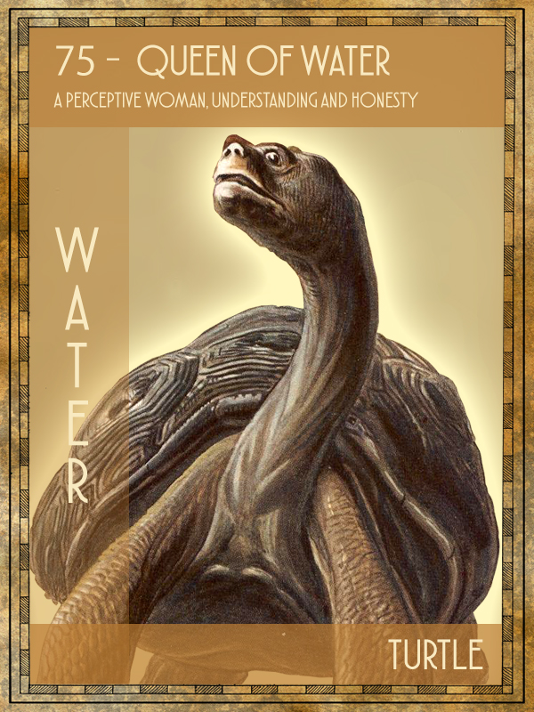 Animal Tarot Turtle