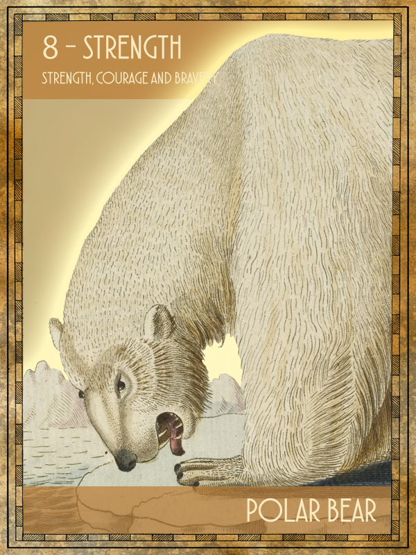 Animal Tarot Polar bear