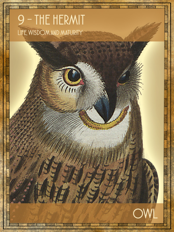 Animal Tarot Owl