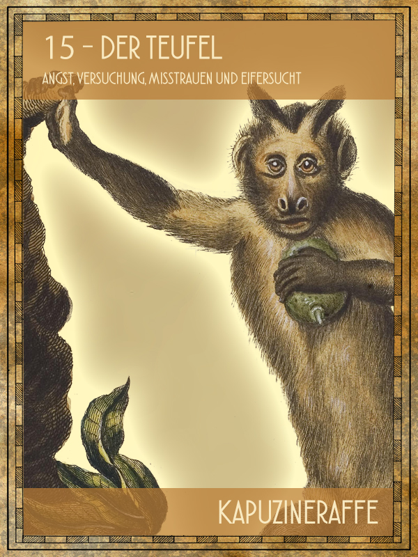 Kapuzineraffe Tiertarot Kapuzineraffe