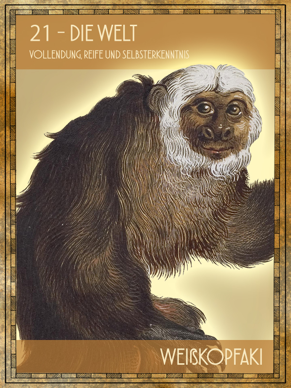 Weißkopfaki Tiertarot Weißkopfaki