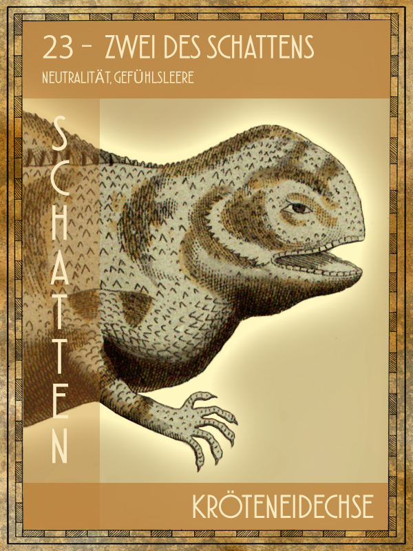 Kröteneidechse Tiertarot Kröteneidechse