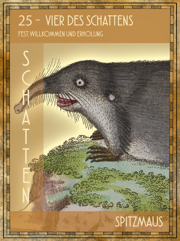 Spitzmaus Tiertarot Spitzmaus