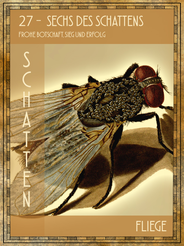 Fliege Tiertarot Fliege