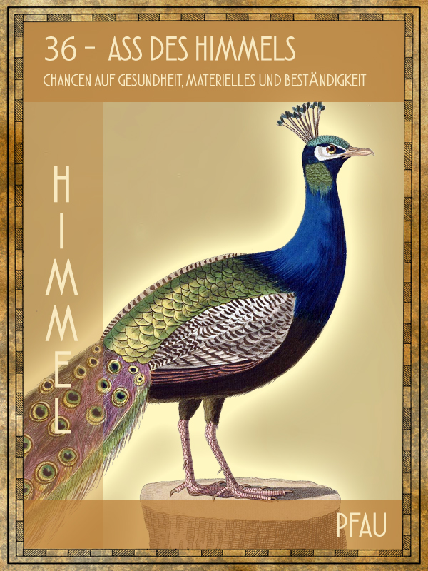 Pfau Tiertarot Pfau