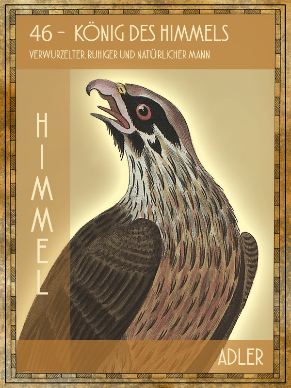 Adler Tiertarot Adler