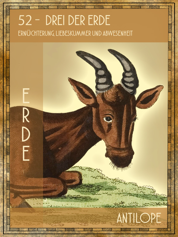 Antilope Tiertarot Antilope