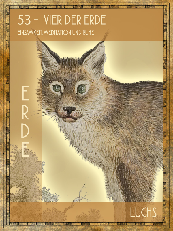 Luchs Tiertarot Luchs