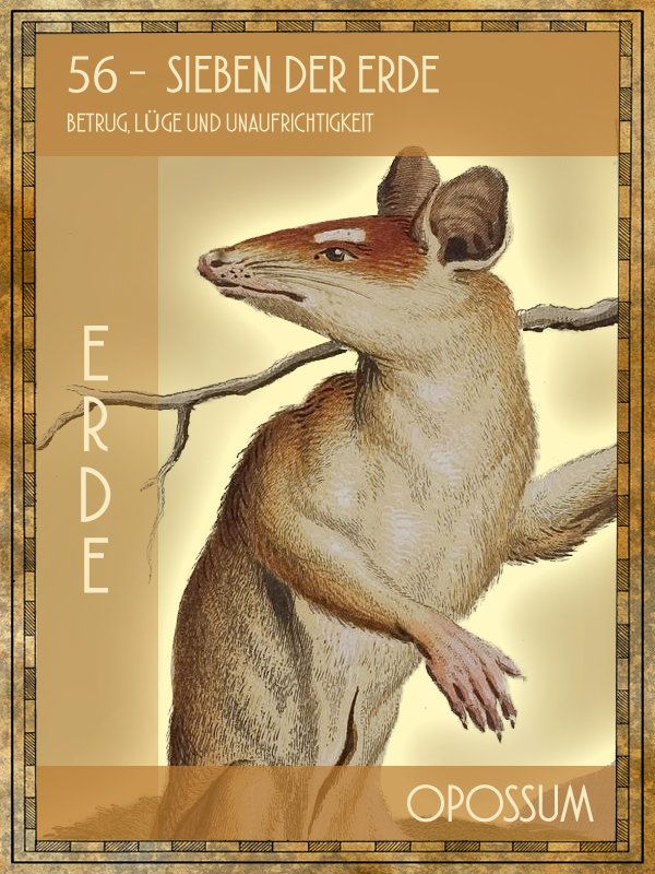 Opossum Tiertarot Opossum
