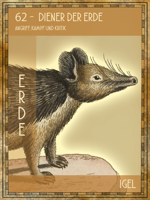 Igel Tiertarot Igel