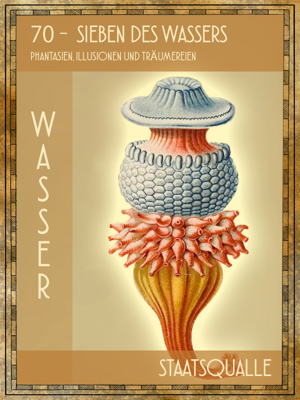 Qualle Tiertarot Qualle