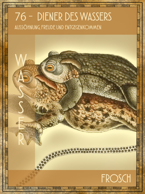 Frosch Tiertarot Frosch