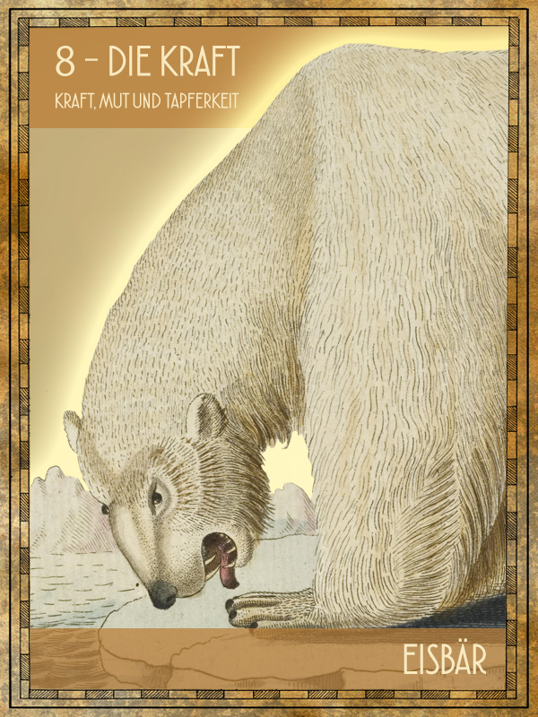 Eisbär Tiertarot Eisbär