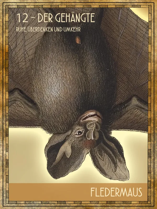 Tiertarot Fledermaus