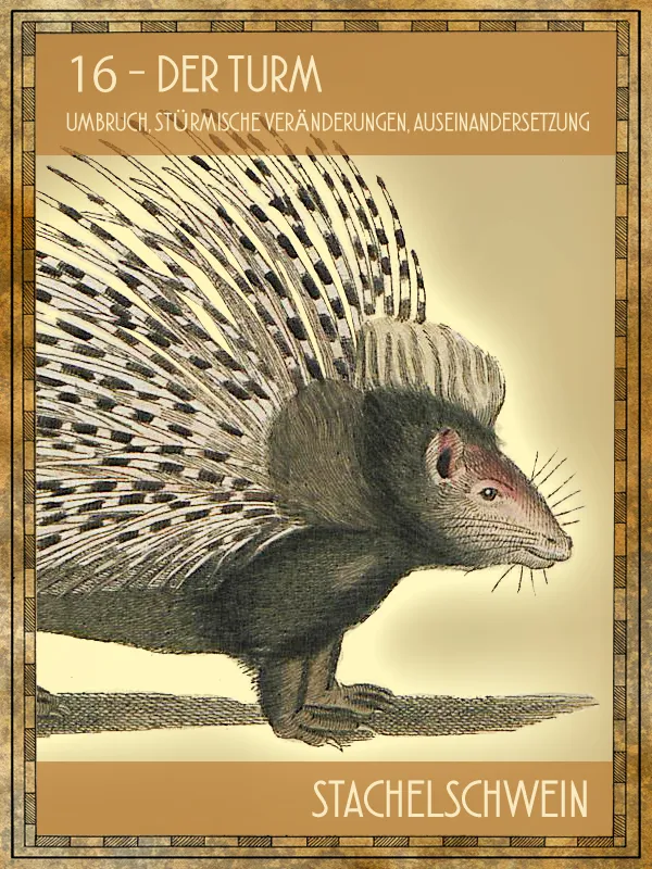 Tiertarot Stachelschwein