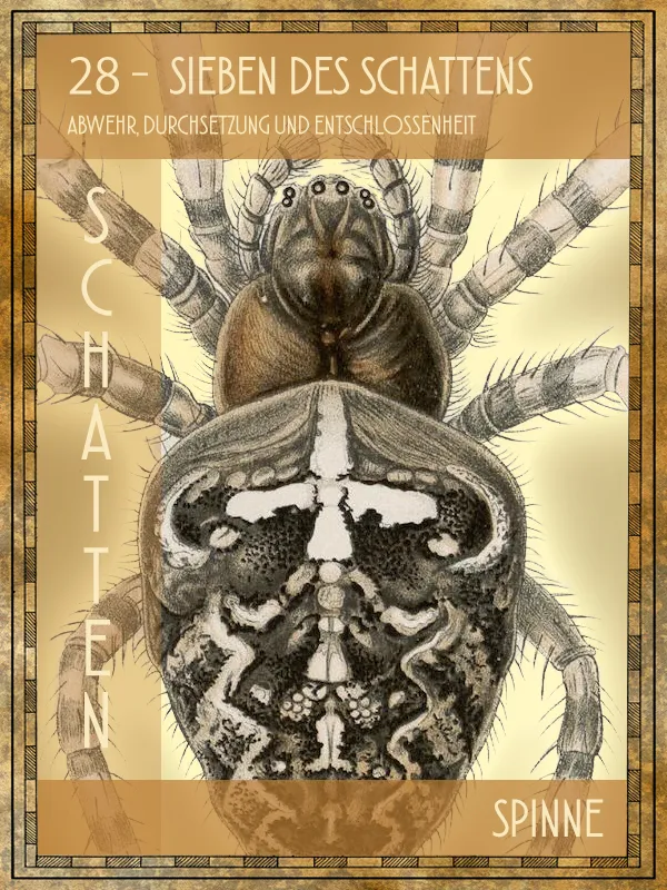 Tiertarot Spinne