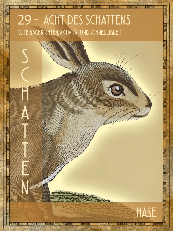 Tiertarot Hase
