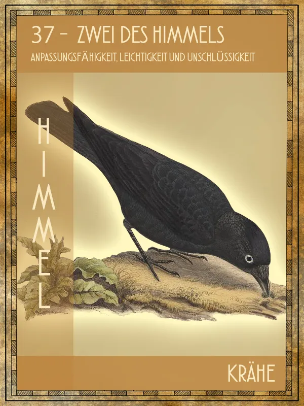 Tiertarot Krähe