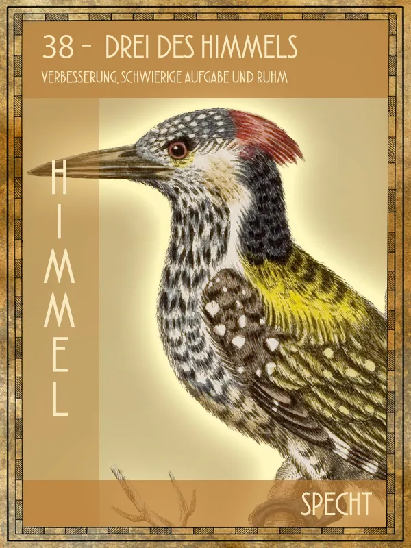 Tiertarot Specht