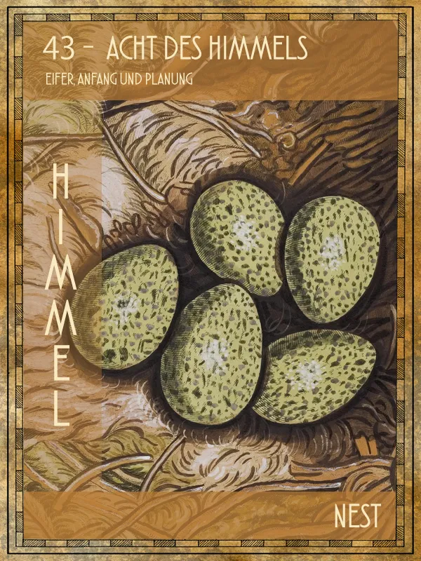 Tiertarot Vogelnest