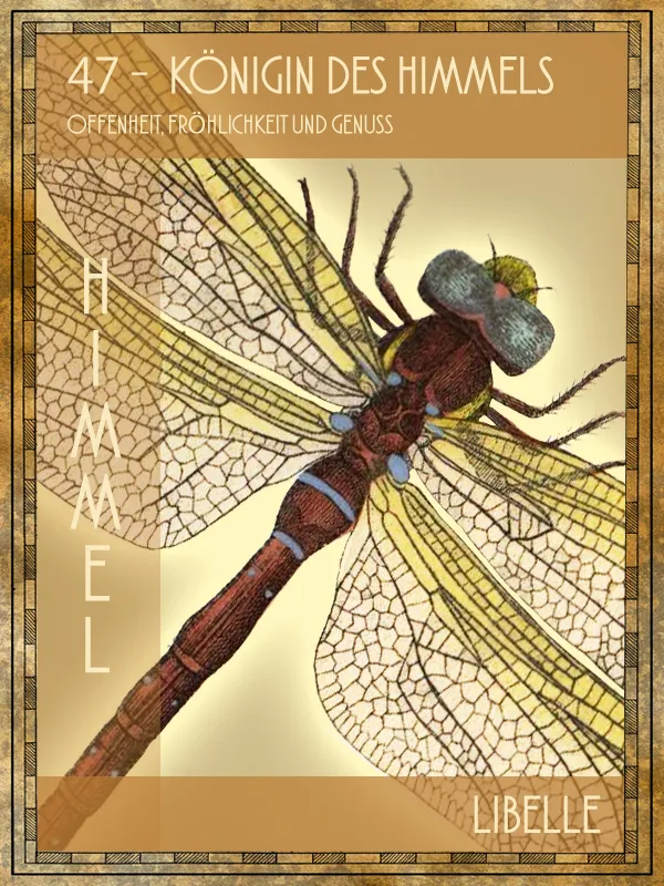 Tiertarot Libelle