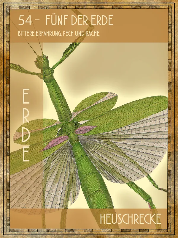 Tiertarot Heuschrecke