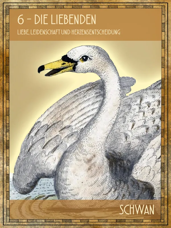 Tiertarot Schwan