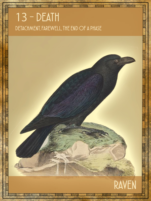 Animal Tarot Card:  Raven